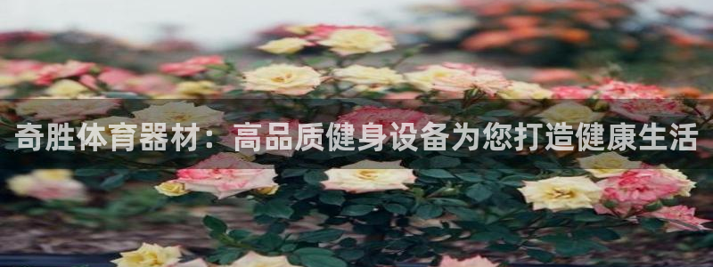 富联官网注册：奇胜体育器材：高品质健身设备为您打造健