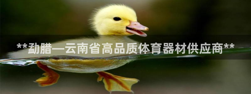 富联娱乐登录地址查询：**勐腊—云南省高品质体育器材供应商*