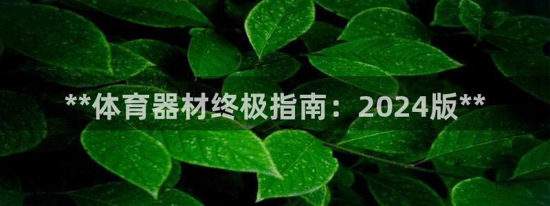 富联娱乐平台怎么样：**体育器材终极指南：2024版