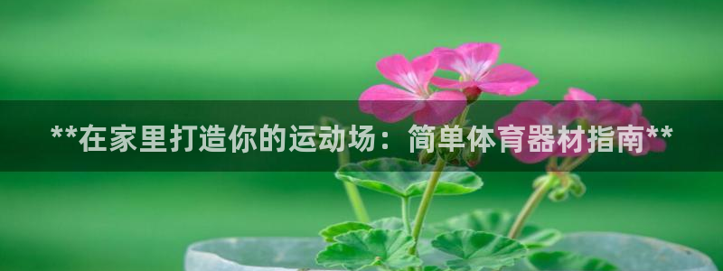 富联娱乐总代理是谁：**在家里打造你的运动场：简单体