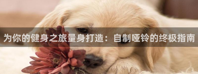 富联丰地产怎么样：为你的健身之旅量身打造：自制哑铃的终极指南