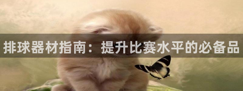 富联娱乐负责人：排球器材指南：提升比赛水平的必备品