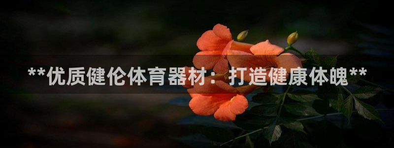 富联娱乐测速地址在哪：**优质健伦体育器材：打造健康