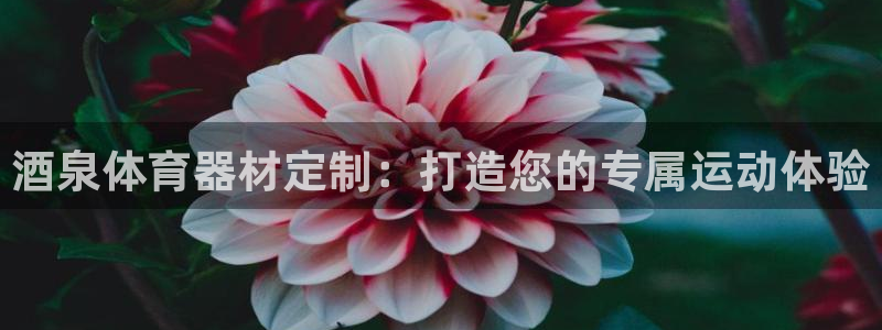 富联娱乐是骗局吗是真的吗：酒泉体育器材定制：打造您的
