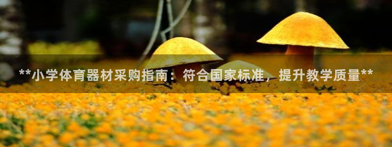富联娱乐测速登录：**小学体育器材采购指南：符合国家