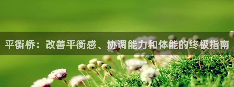 富联娱乐按7O777：平衡桥：改善平衡感、协调能力和