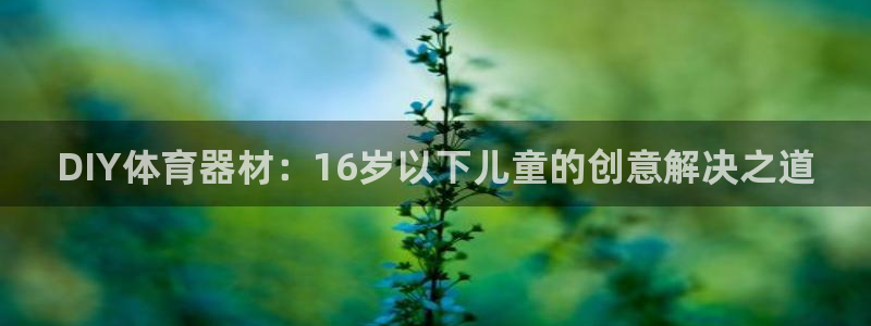 富联图文：DIY体育器材：16岁以下儿童的创意解决之