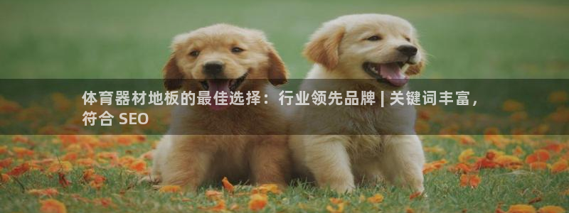 富联官网注册流程：体育器材地板的最佳选择：行业领先品