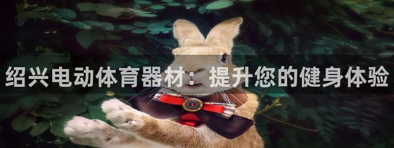 富联官方网站入口查询：绍兴电动体育器材：提升您的健身
