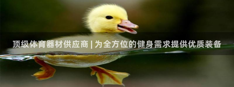 富联官方网站首页入口网址：顶级体育器材供应商 | 为