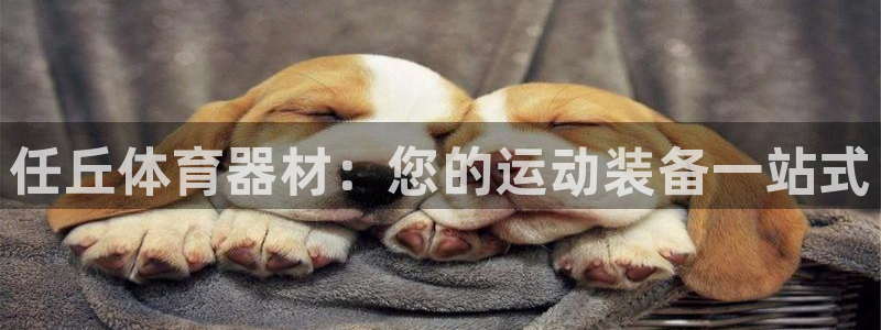 富联申购可以赚多少钱：任丘体育器材：您的运动装备一站