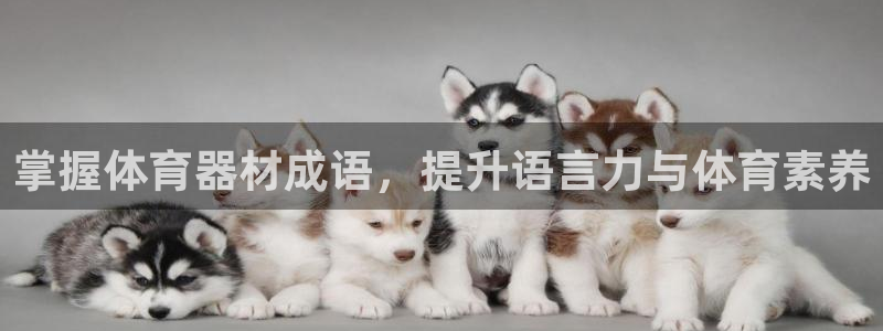 富联集团最新消息新闻
