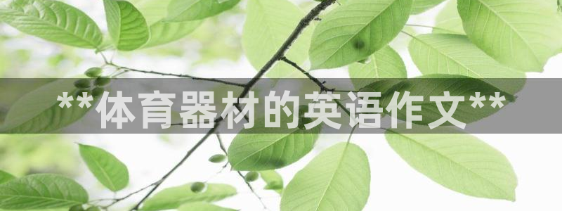 富联网是什么意思