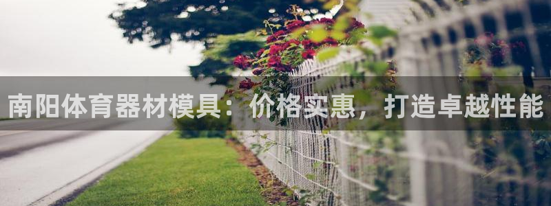 富联申购上市价格预测最新：南阳体育器材模具：价格实惠