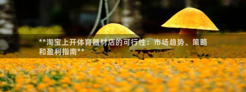 富联娱乐官方网站首页登录：**淘宝上开体育器材店的可