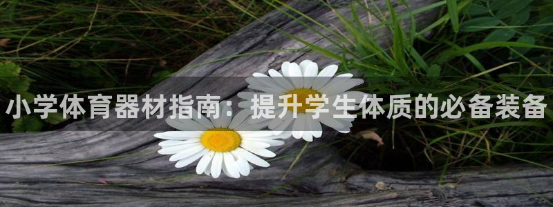 富联平台注册登录入口：小学体育器材指南：提升学生体质的必备装
