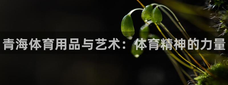 富联官方网站首页入口网址