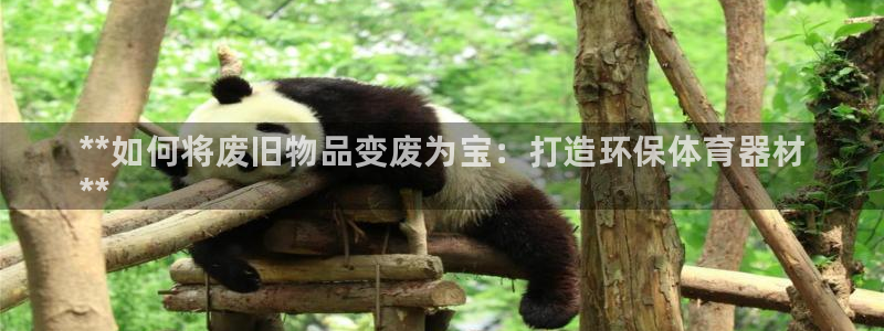 富联娱乐测速地址查询