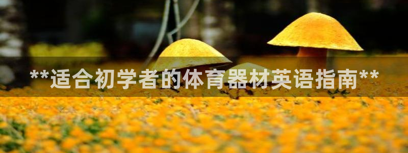 富联娱乐够7O777：**适合初学者的体育器材英语指南**