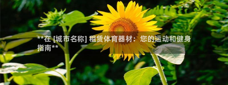 富联娱乐靠 58534I 富联：**在 [城市名称] 租赁体