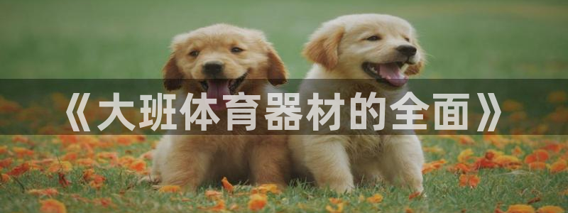 富联平台q665.786：《大班体育器材的全面》