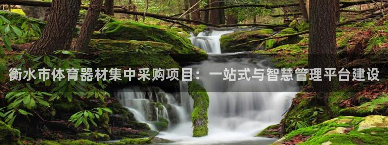 富联娱乐是资金盘吗：衡水市体育器材集中采购项目：一站式与智慧