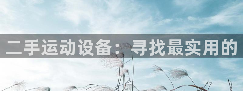 富联娱乐平台开户流程图：二手运动设备：寻找最实用的