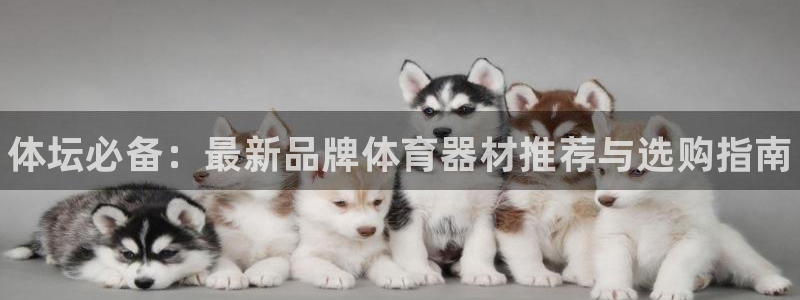 富联娱乐客服微信公众号