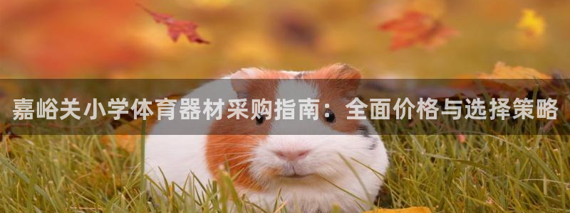 富联平台非7O777：嘉峪关小学体育器材采购指南：全