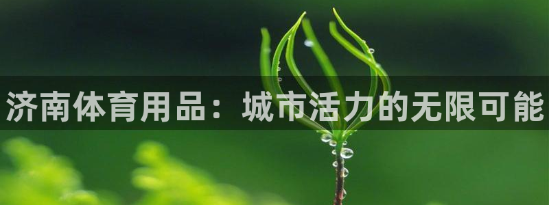 富联平台意 411o31 平台：济南体育用品：城市活力的无限