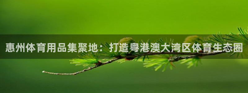 富联娱乐心 5o69I7：惠州体育用品集聚地：打造粤港澳大湾