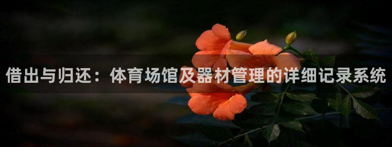 富联娱乐服务站电话：借出与归还：体育场馆及器材管理的详细记录