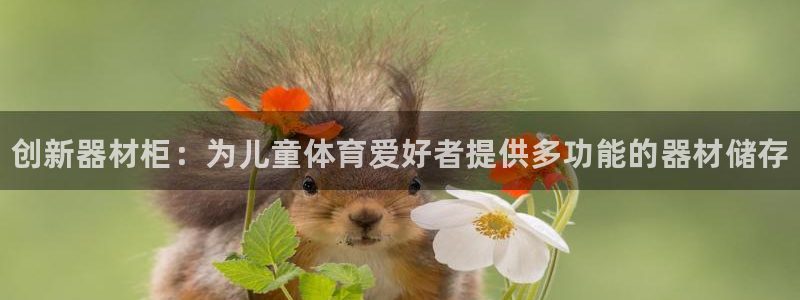 富联官网授权店铺：创新器材柜：为儿童体育爱好者提供多