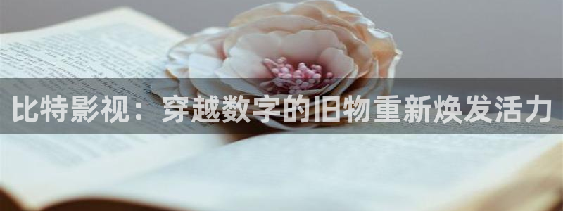 悠久影院免费高清电影：比特影视：穿越数字的旧物重新焕发活力