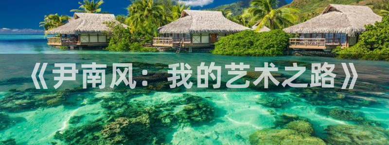 色悠久久影院：《尹南风：我的艺术之路》