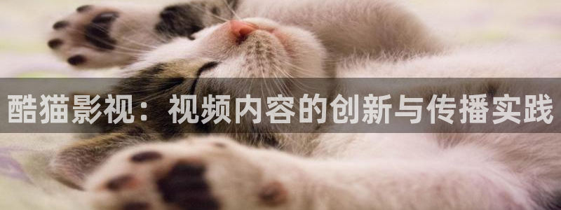 悠久影院电影免费大全：酷猫影视：视频内容的创新与传播实践