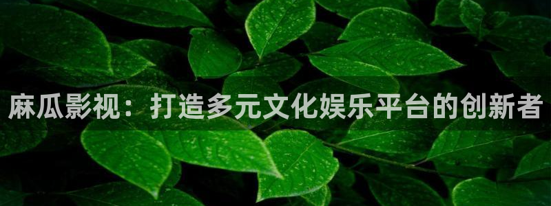悠久影院最新在线免费观看电影：麻瓜影视：打造多元文化娱乐平台的创新者