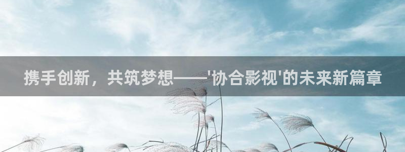 悠久影院.：携手创新，共筑梦想——\'协合影视\'的未来新篇章