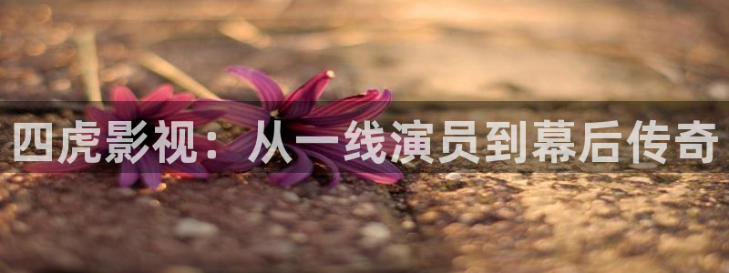 悠久影院网：四虎影视：从一线演员到幕后传奇