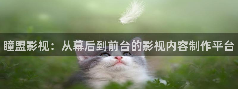 将夜2电视剧悠久影院：瞳盟影视：从幕后到前台的影视内容制作平台